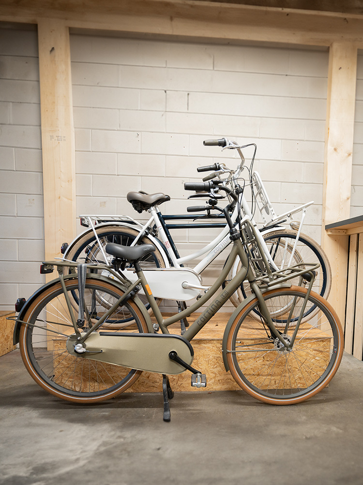 Van Gazelle en Cortina tot Urban Arrow, biXbi Rae en QWIC